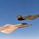 The two YF-23s, nicknamed Gray Ghost and Black Widow, fly in formation (US Air Force)